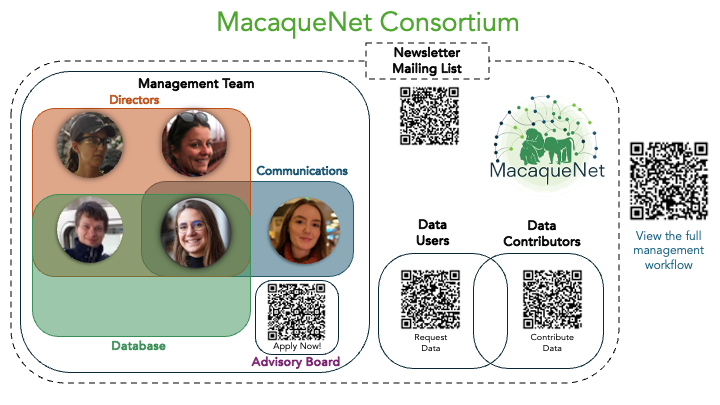 MacaqueNet consortium structure